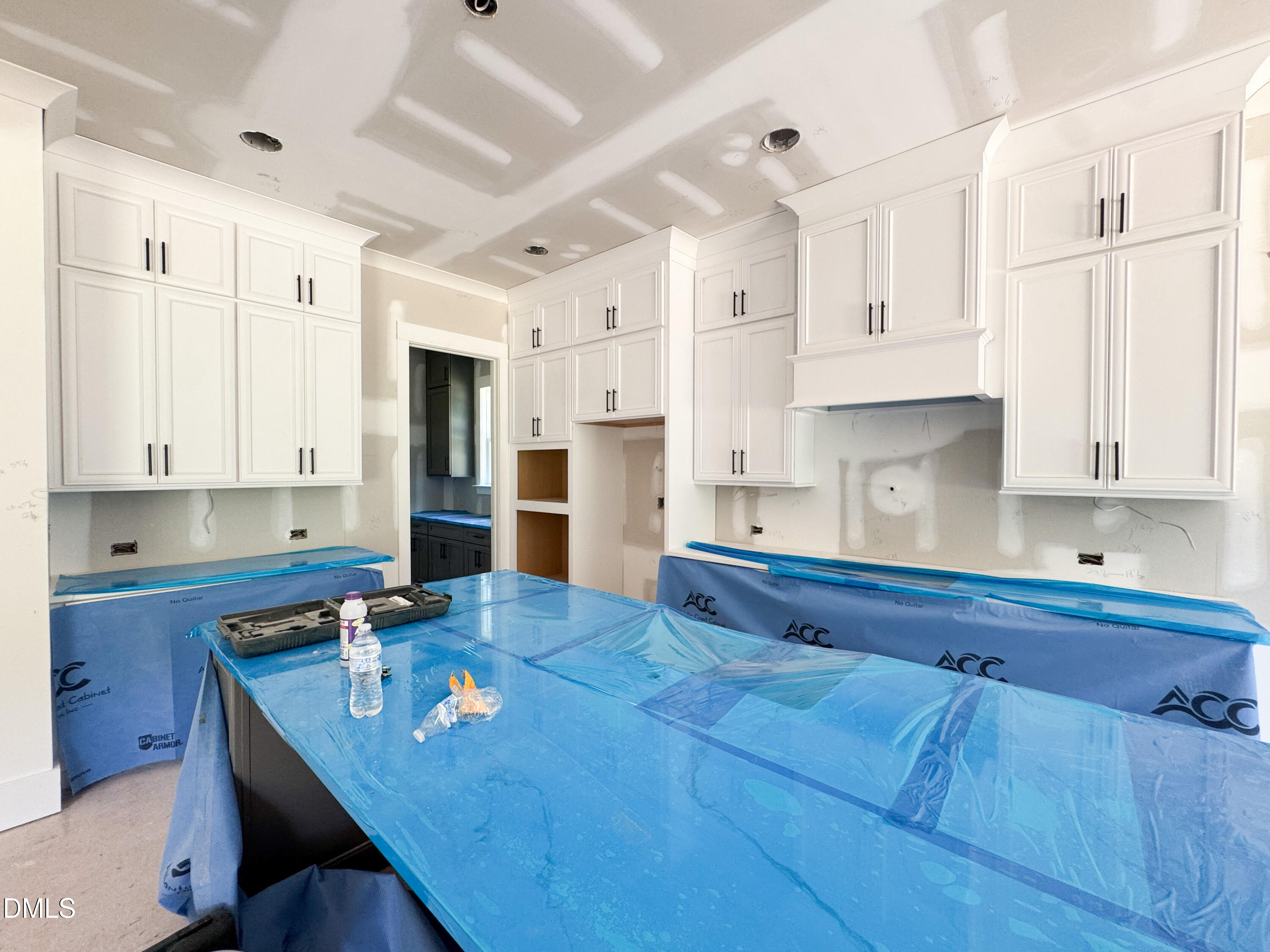 2536 Rosslare Pond Trail Property Photo 2
