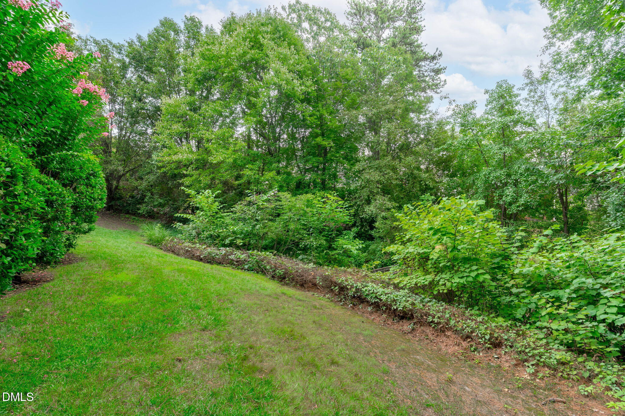 1121 Capitata Crossing Property Photo 62