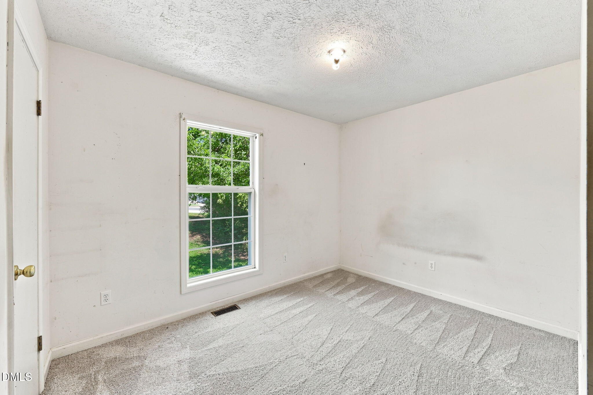 104 Pine Forest Drive Property Photo 19