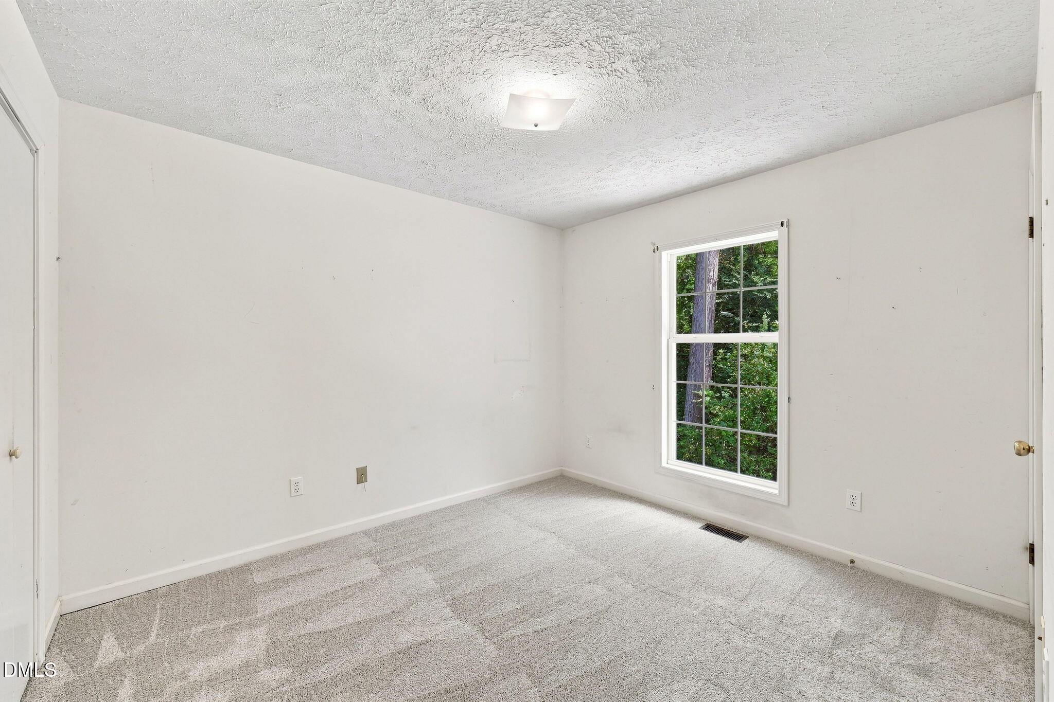 104 Pine Forest Drive Property Photo 23