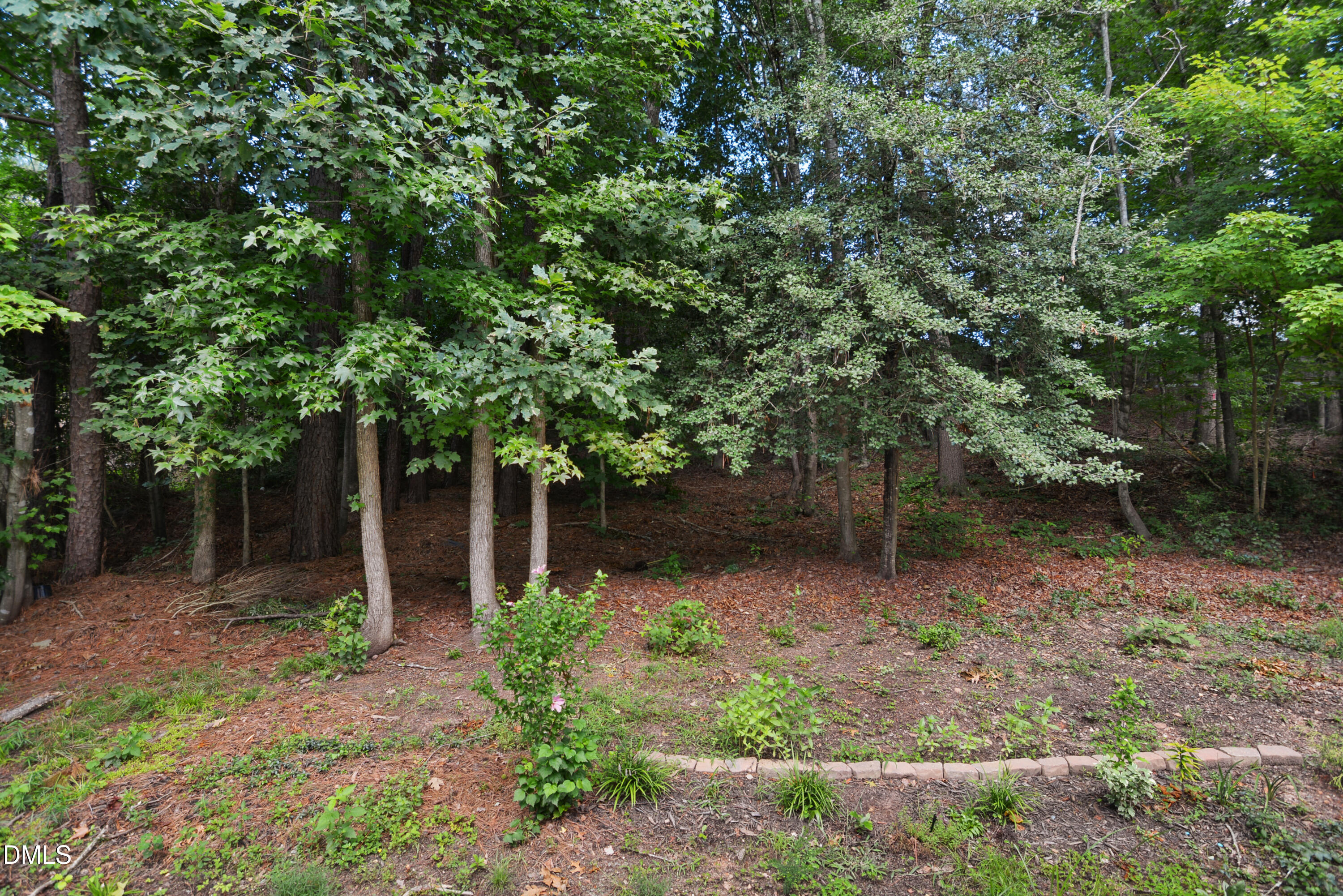 6901 River Birch Drive Property Photo 22