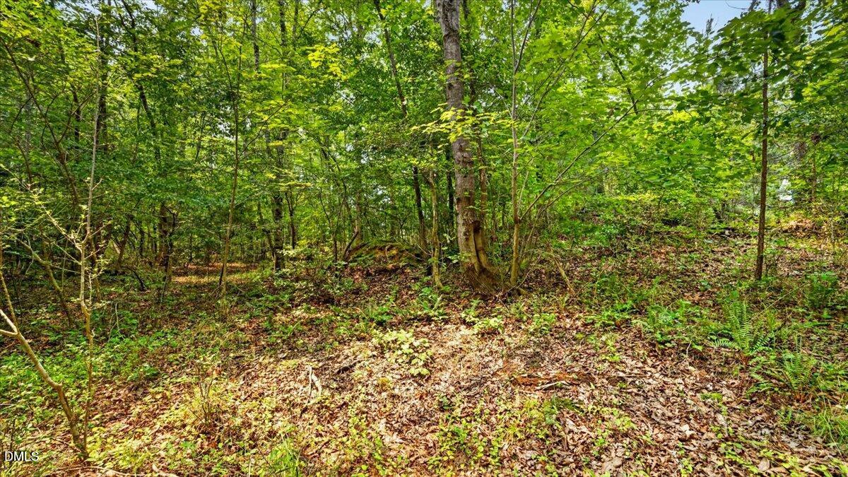 0 Blacks Road Property Photo 5