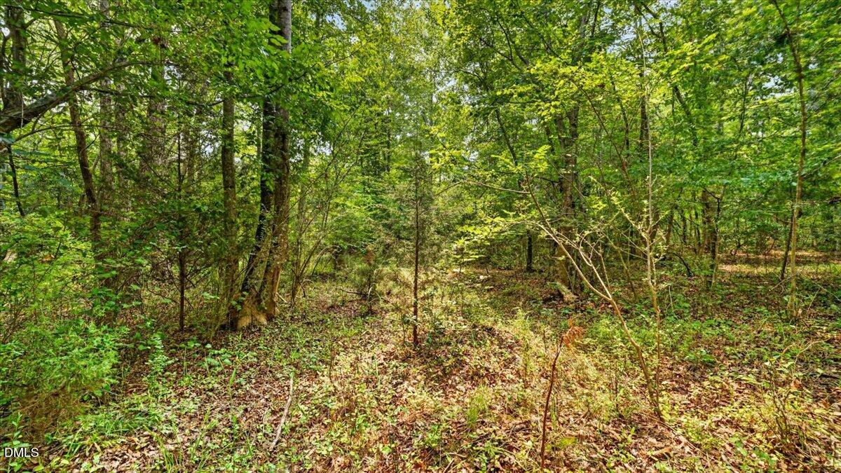 0 Blacks Road Property Photo 6