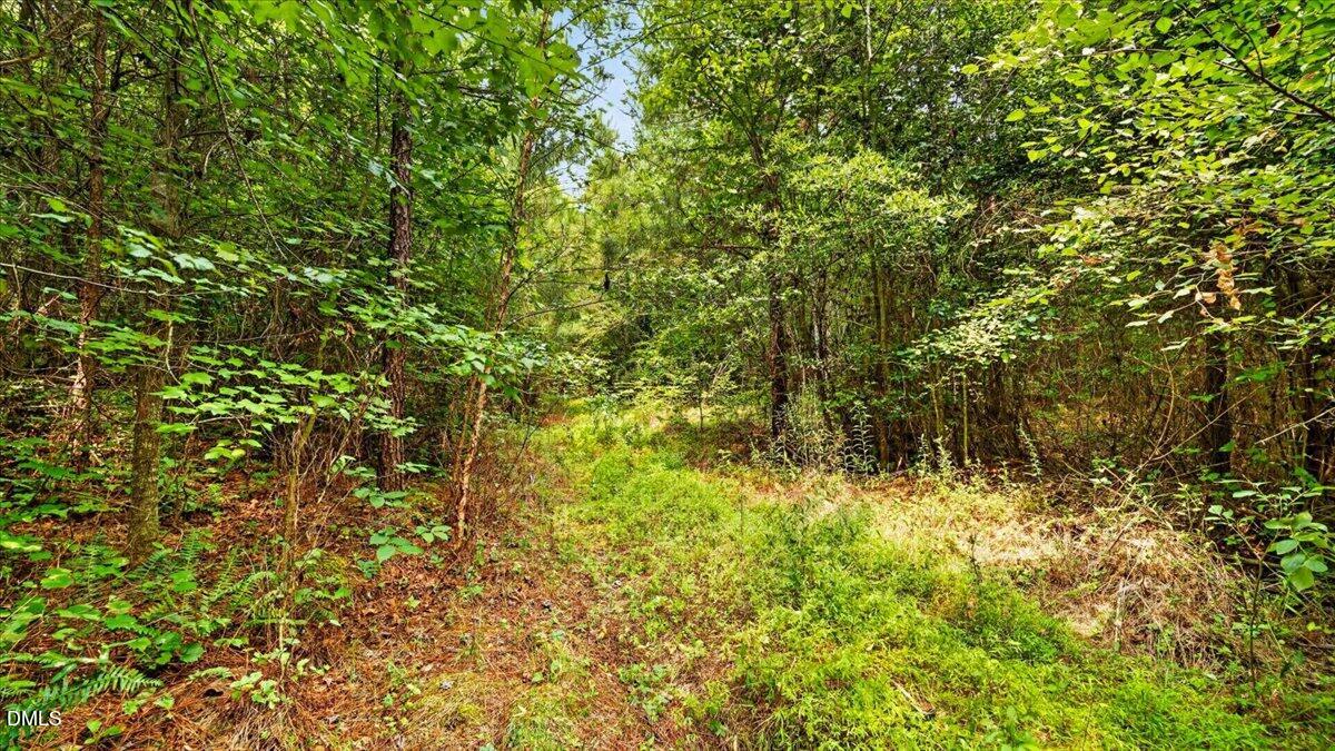 0 Blacks Road Property Photo 7