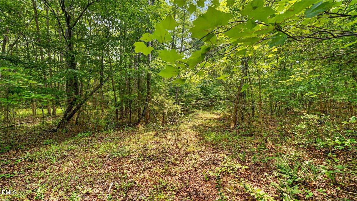 0 Blacks Road Property Photo 8