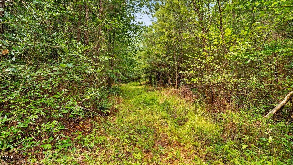 0 Blacks Road Property Photo 10