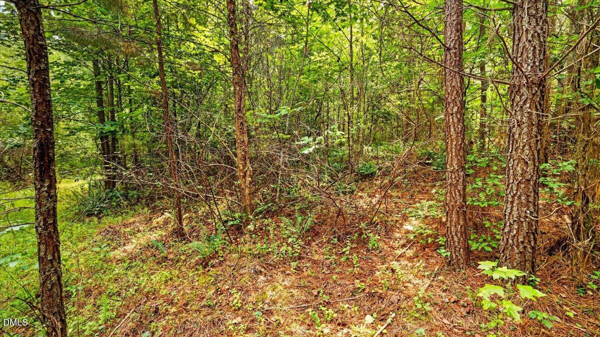 0 Blacks Road Property Photo 11
