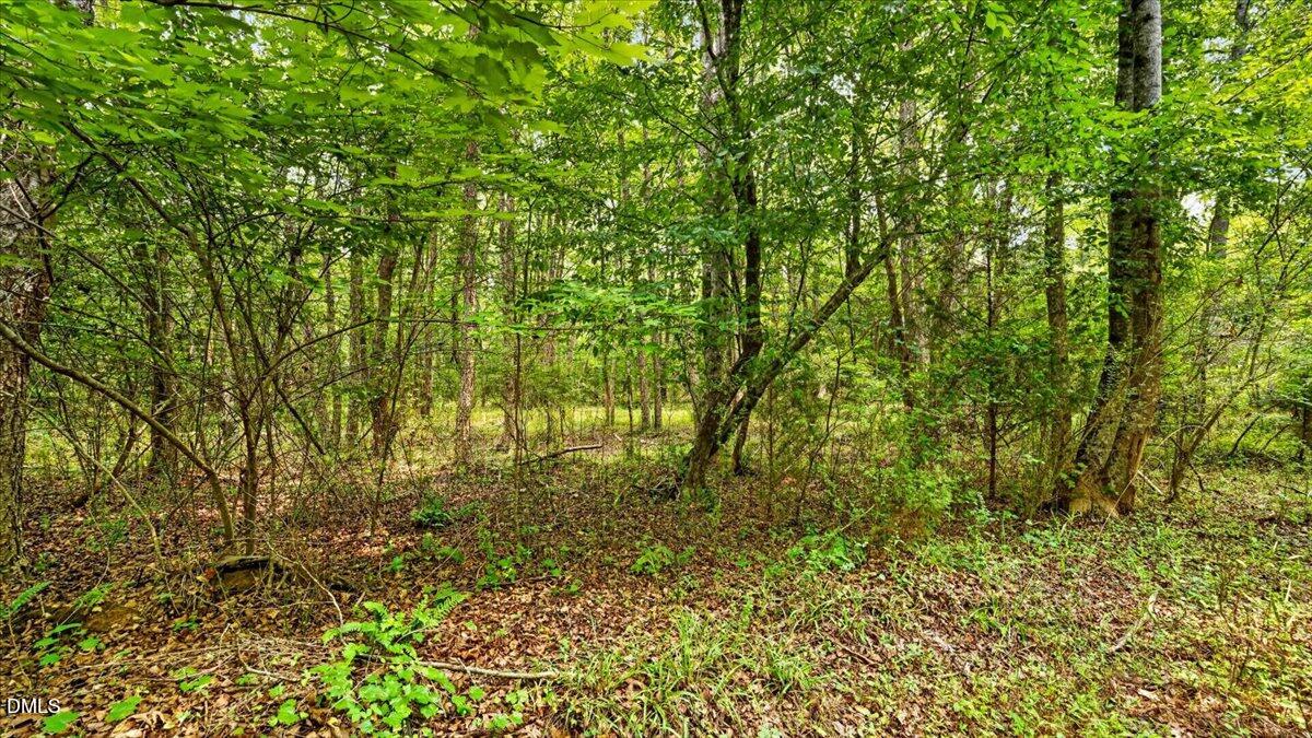 0 Blacks Road Property Photo 16