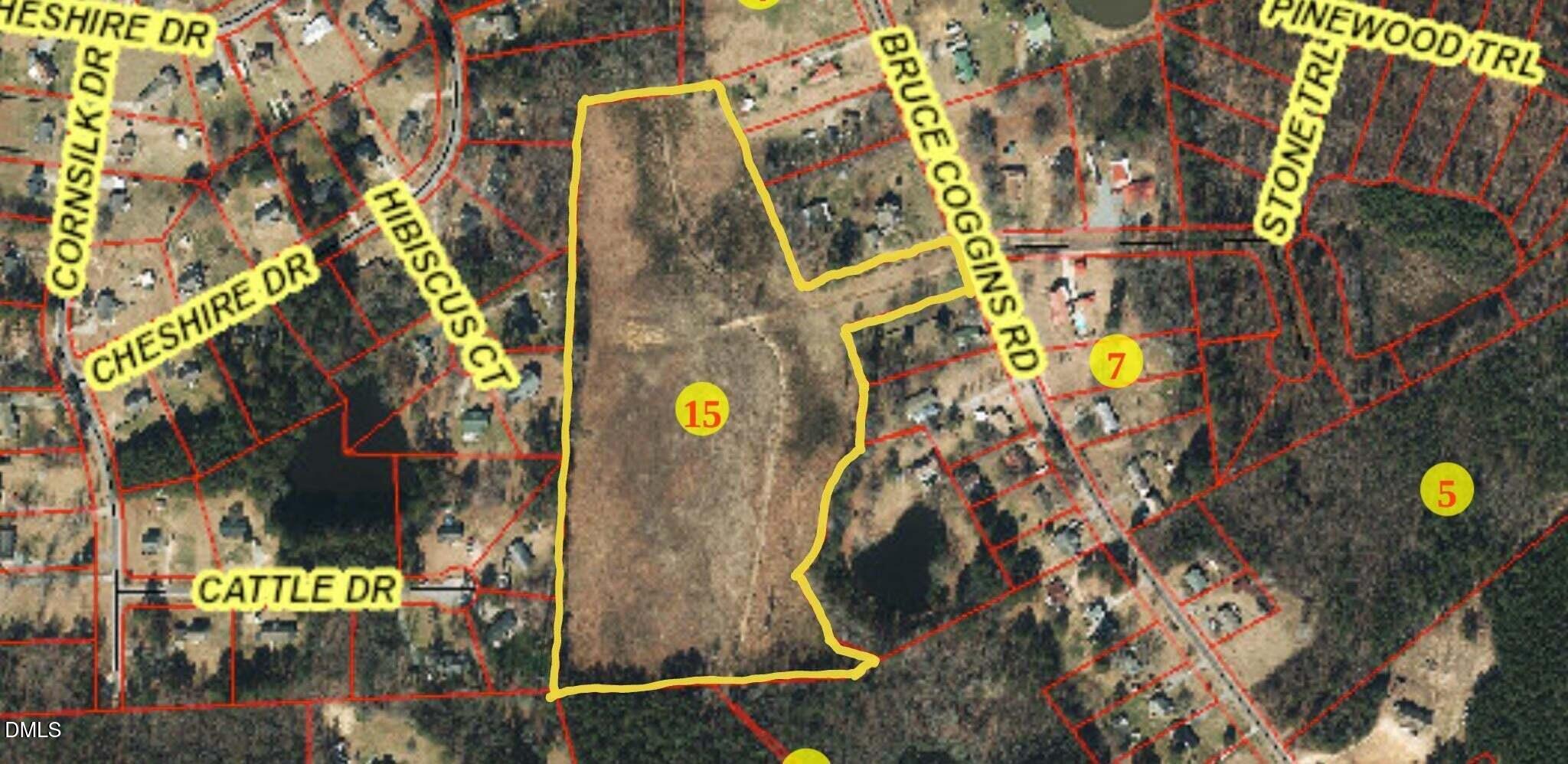 0 Bruce Coggins Road Property Photo 1