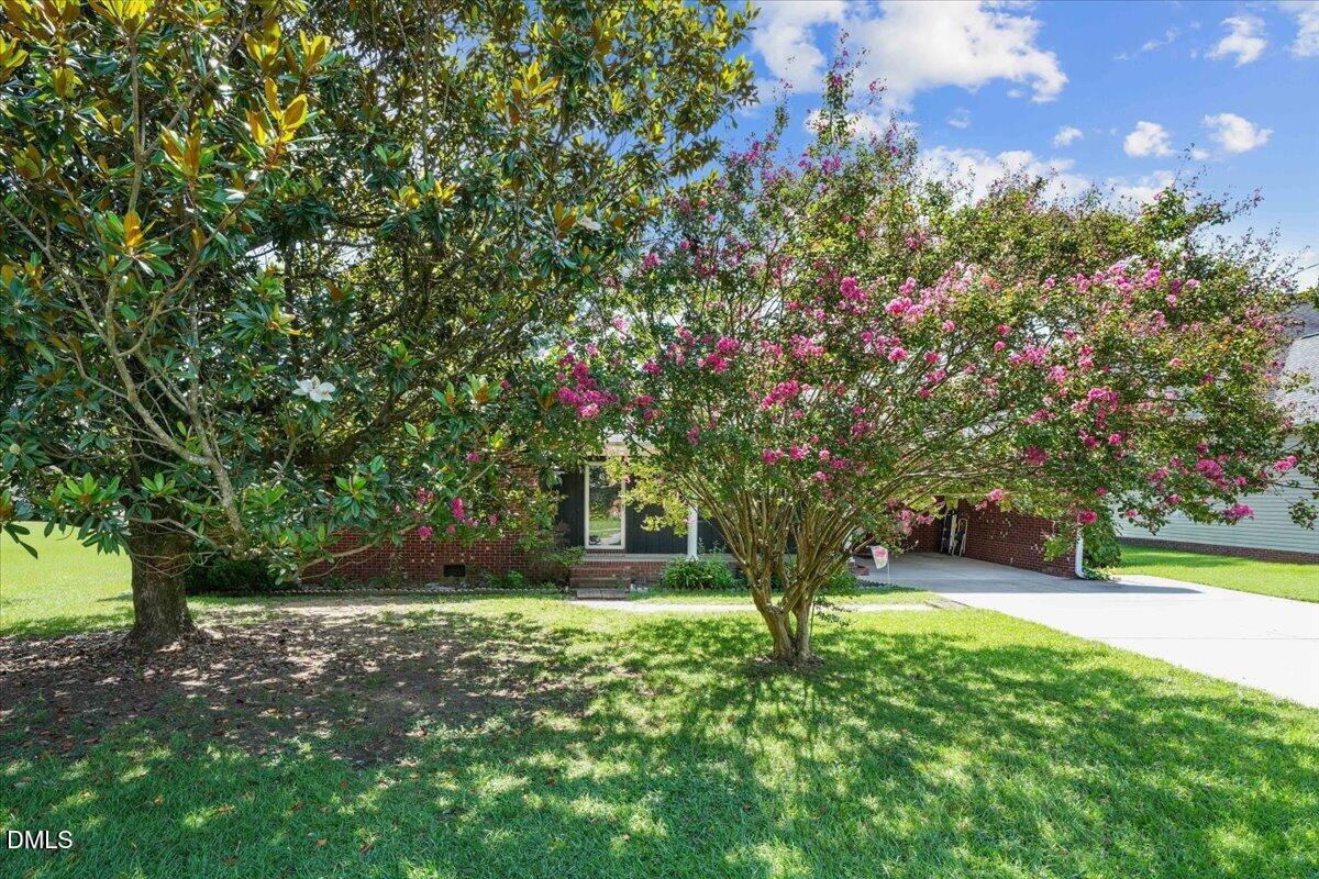 301 Flamingo Drive Property Photo 4