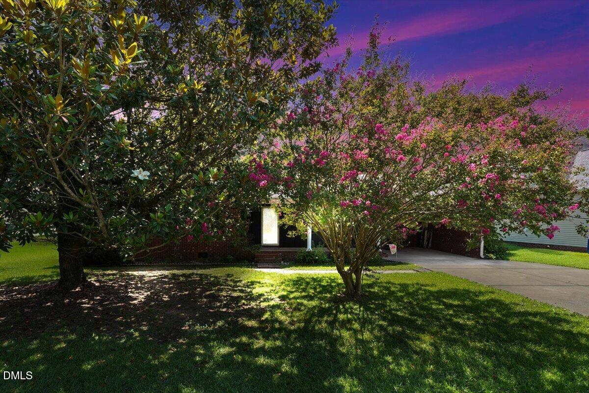 301 Flamingo Drive Property Photo 5