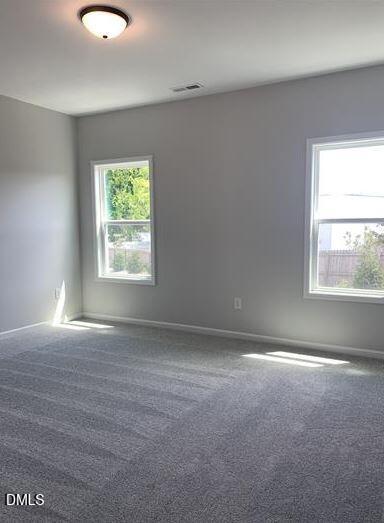 3400 Star View Drive Property Photo 21