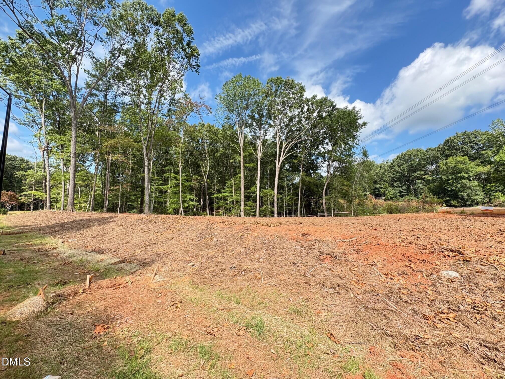 7429 Blantons Grove Way Property Photo 3