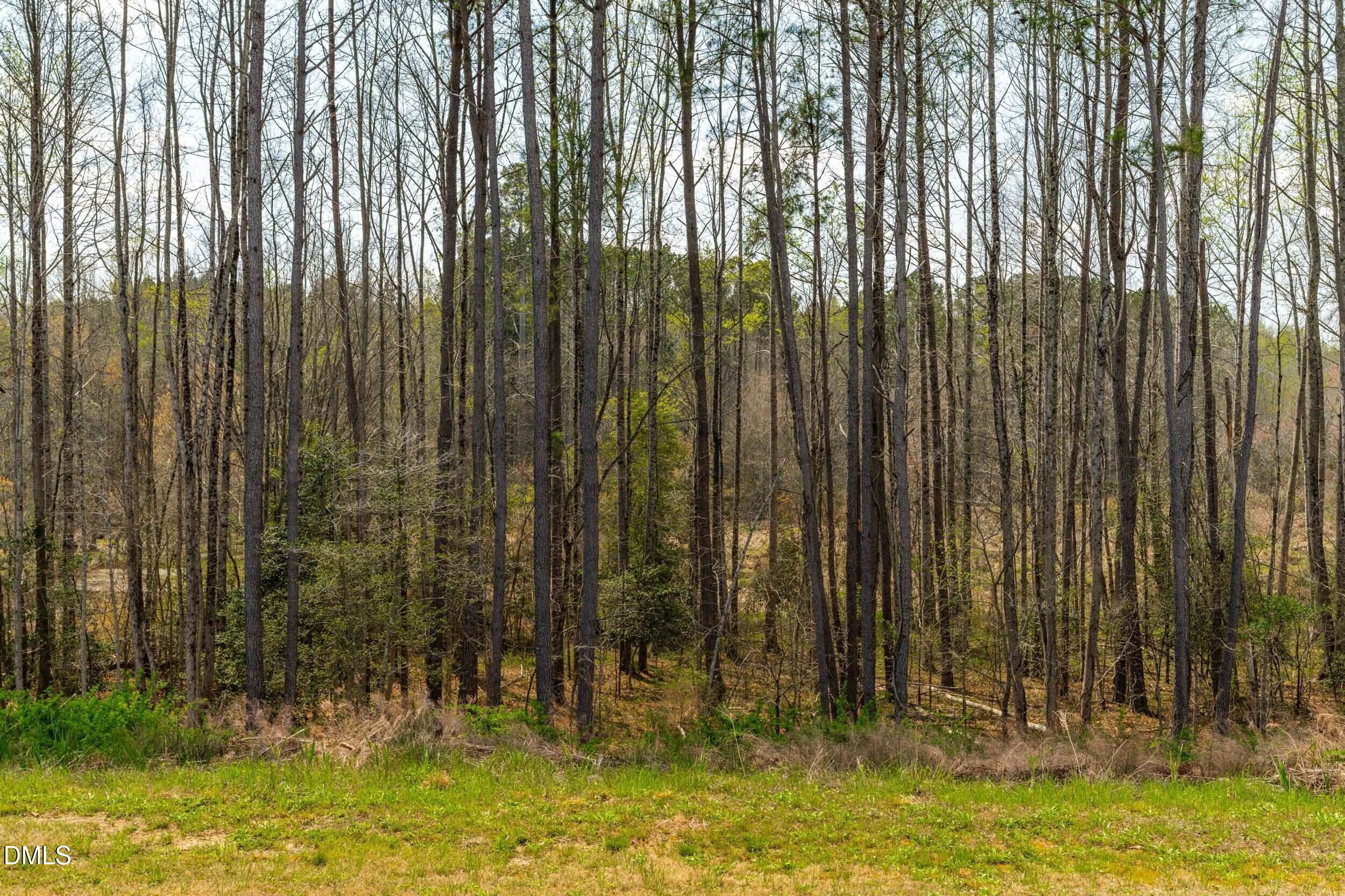 761 Riguard Way Property Photo 41