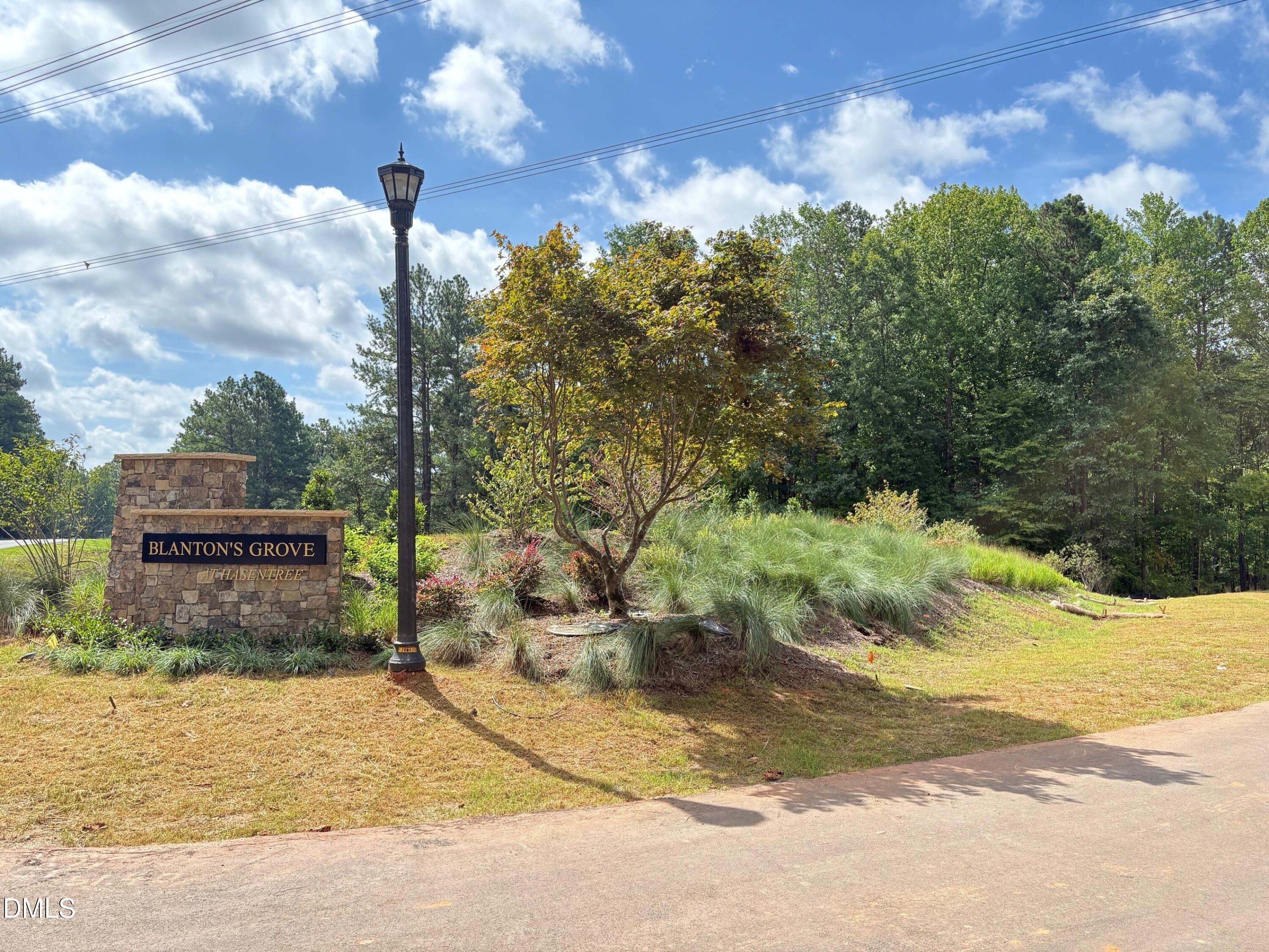 7424 Blantons Grove Way Property Photo 4
