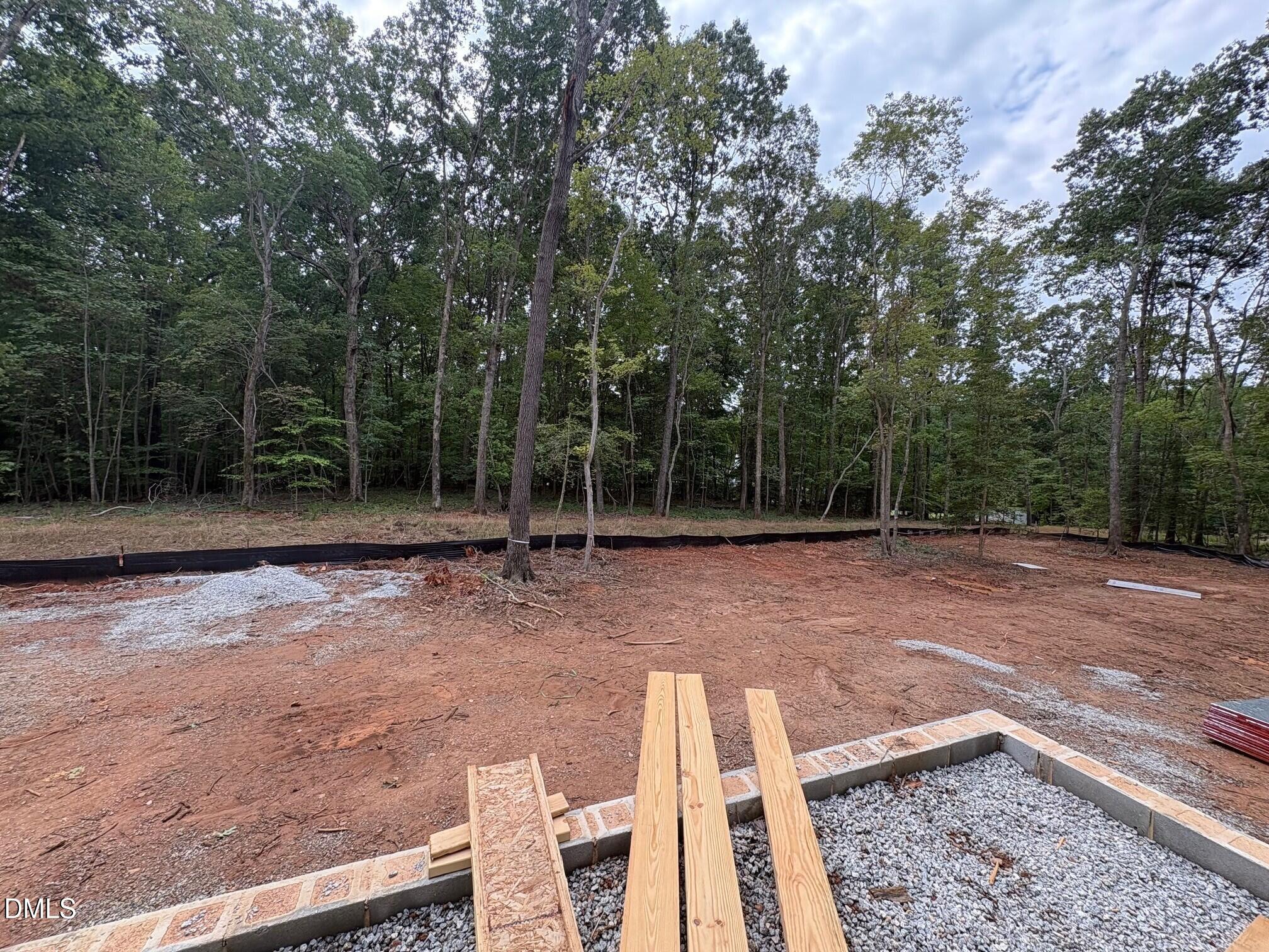 7424 Blantons Grove Way Property Photo 7