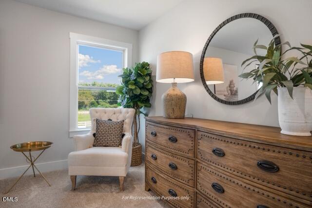 48 Knotts Loop Property Photo 40