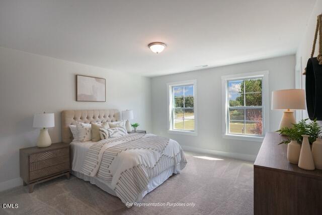 48 Knotts Loop Property Photo 49
