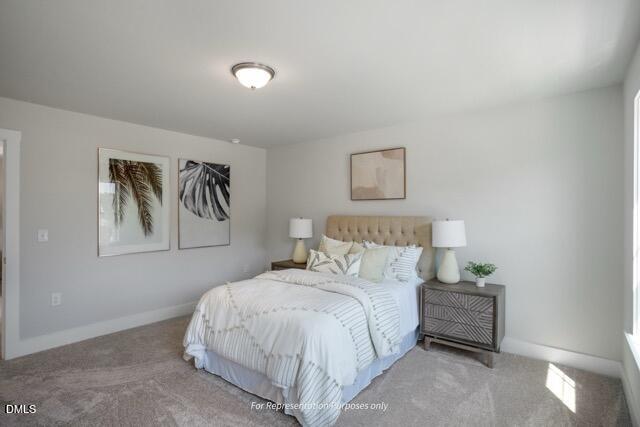 48 Knotts Loop Property Photo 50