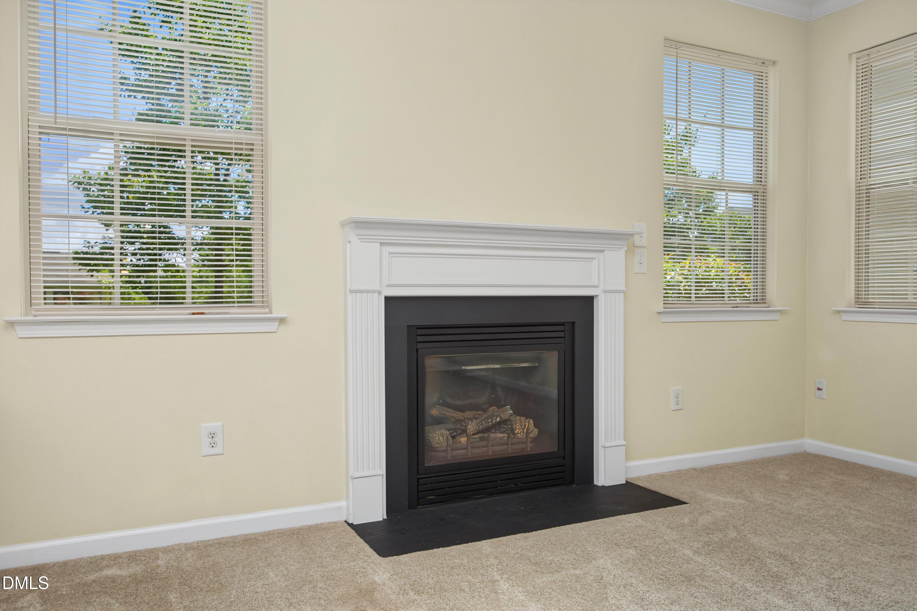 309 Windy Peak Loop Property Photo 8