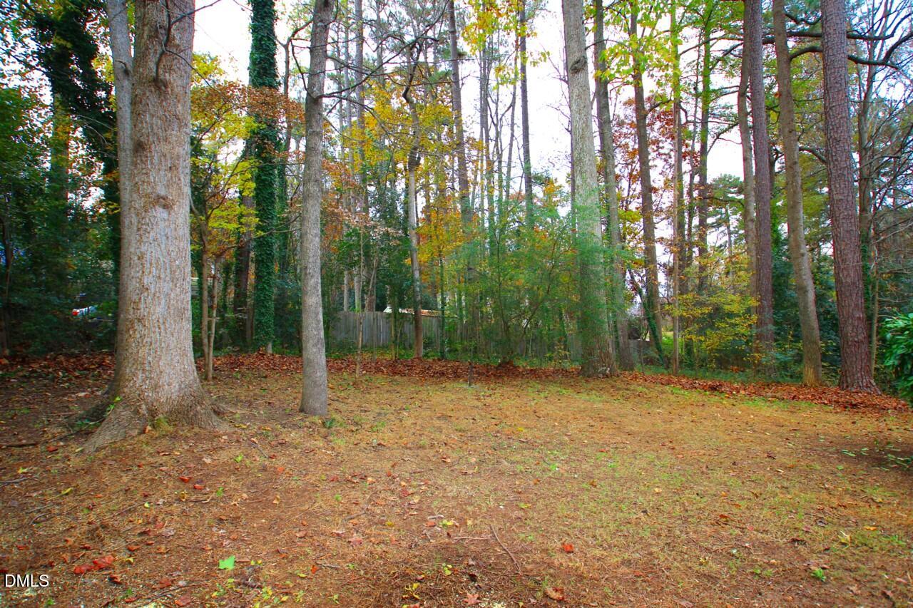 1406 Bloomingdale Drive Property Photo 14