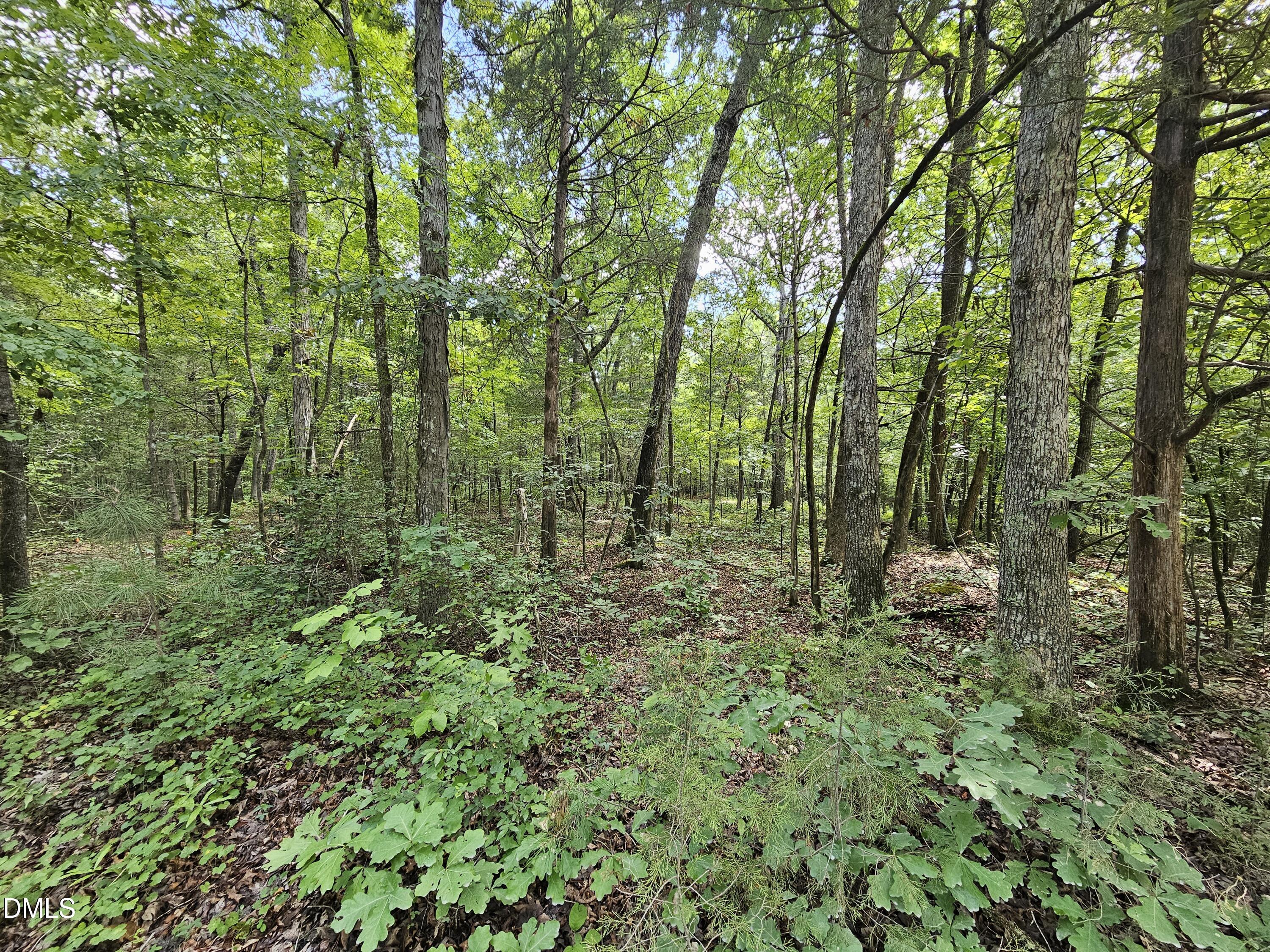 625 Harts Creek Drive Property Photo 1