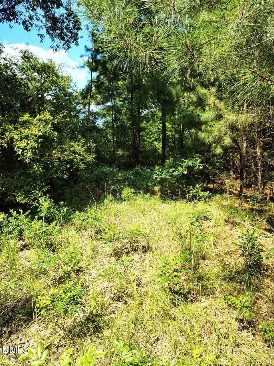 486 Creech Johnson Road Property Photo 4