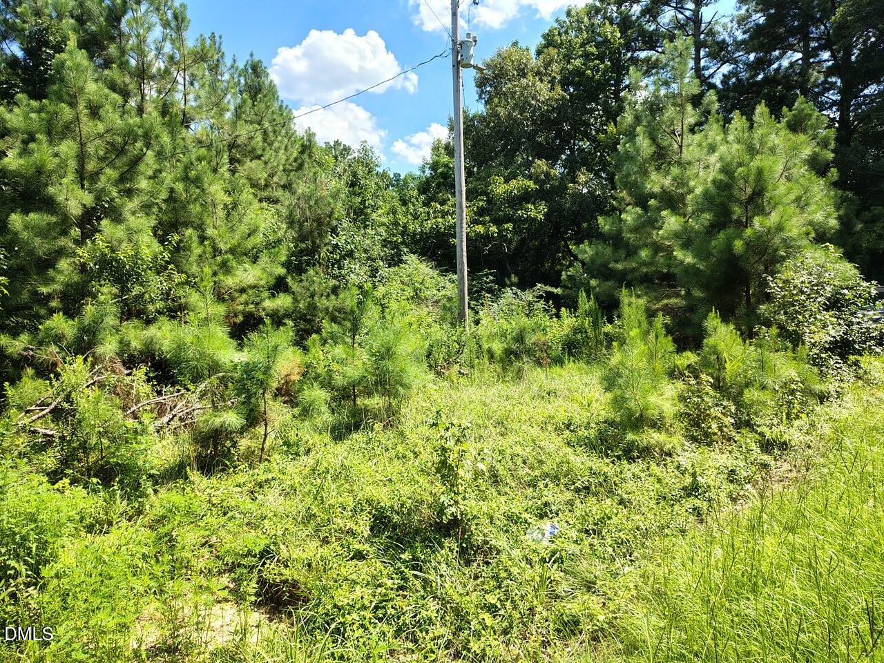 486 Creech Johnson Road Property Photo 7
