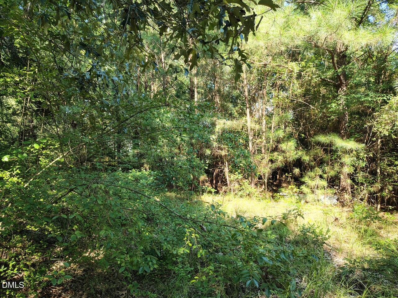 486 Creech Johnson Road Property Photo 8