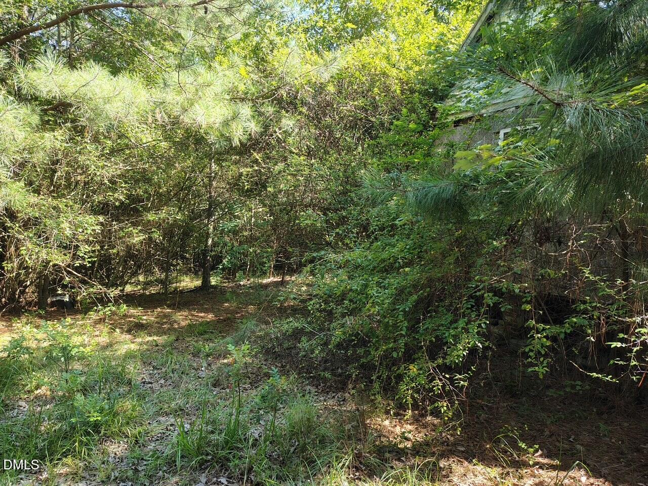 486 Creech Johnson Road Property Photo 9