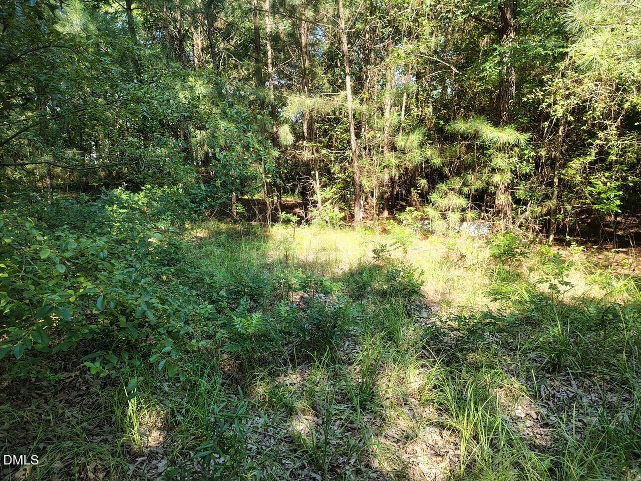 486 Creech Johnson Road Property Photo 10