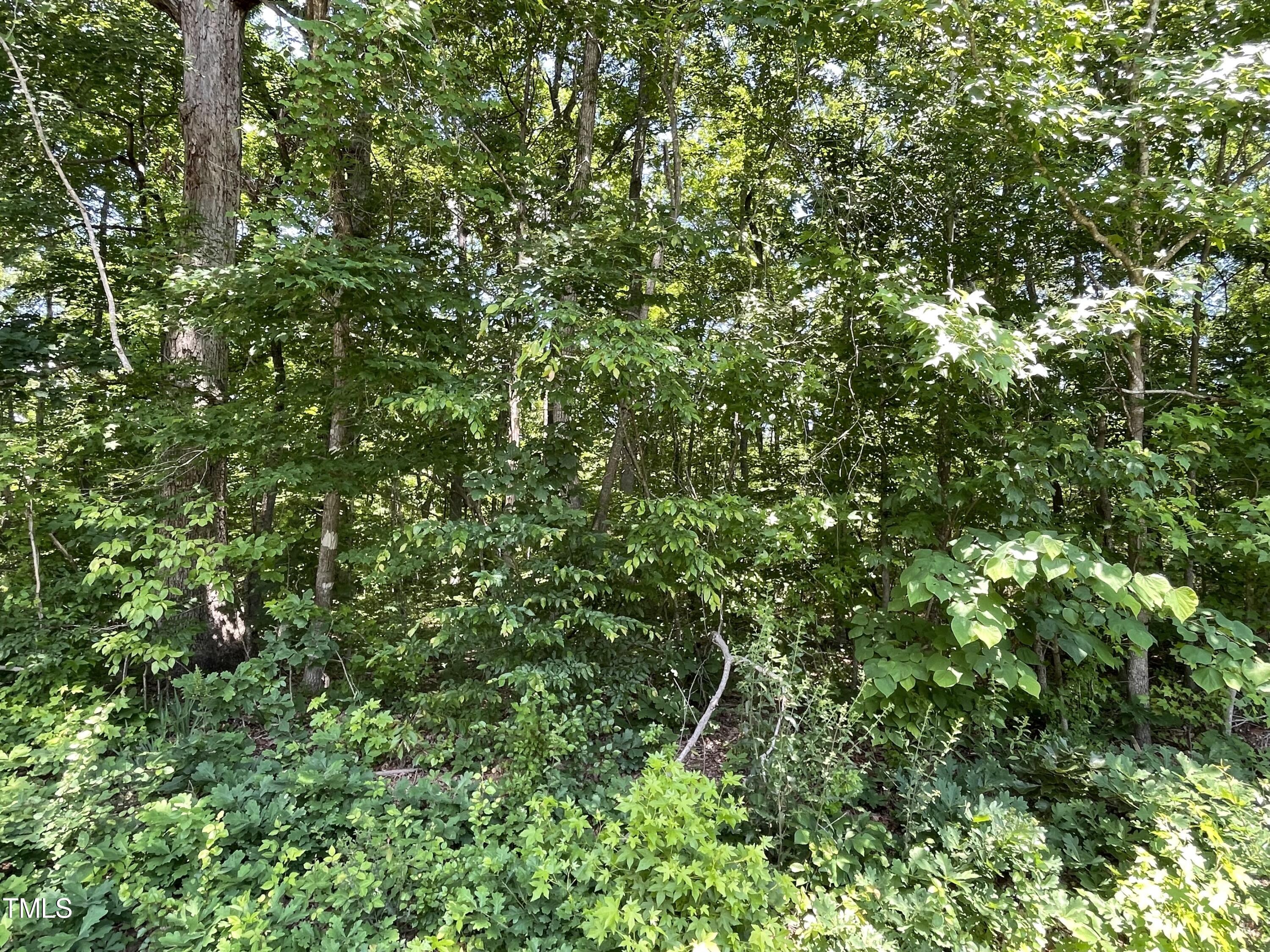 0000-3 Shady Lane Property Photo 1