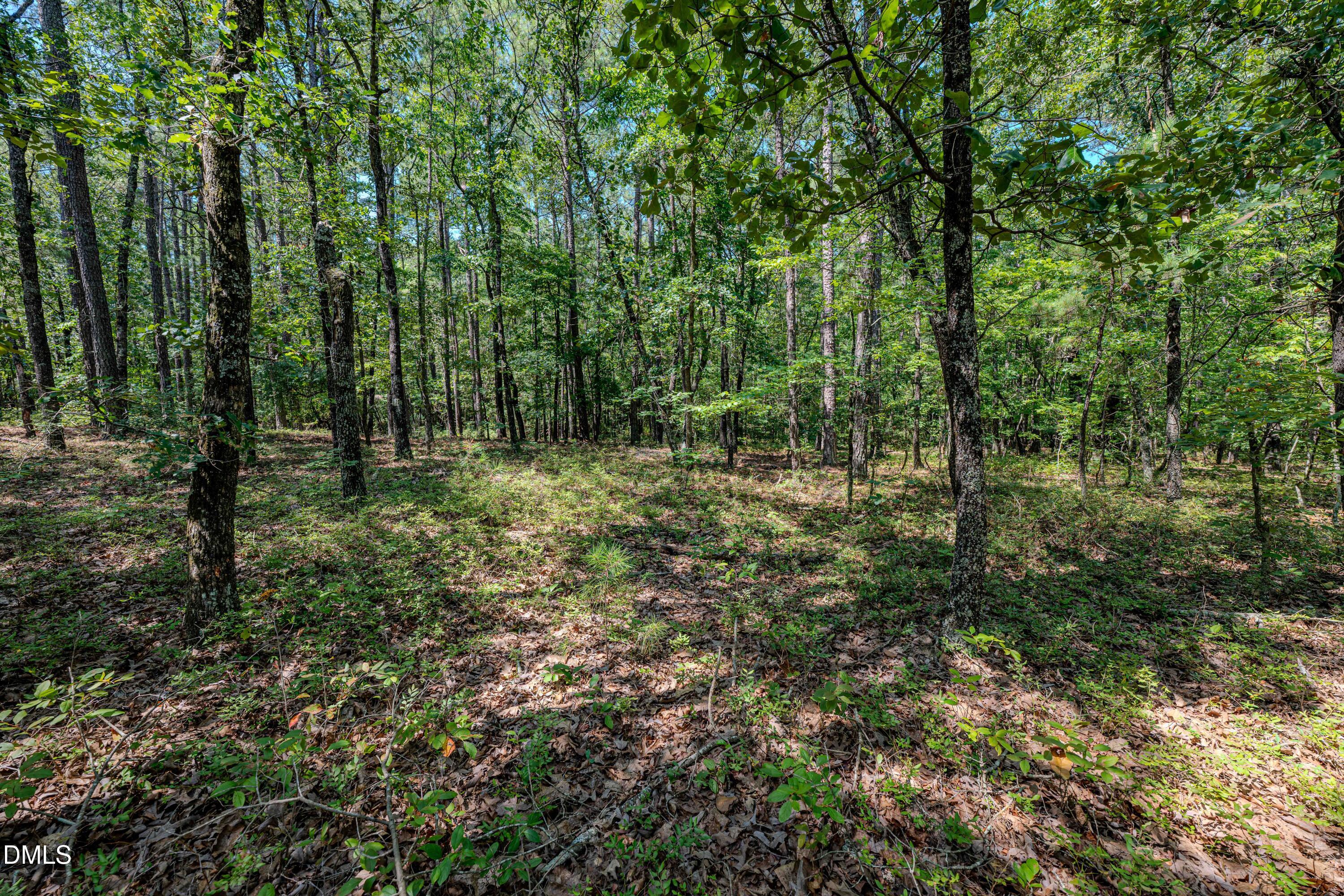 0 Us-421 Property Photo 17