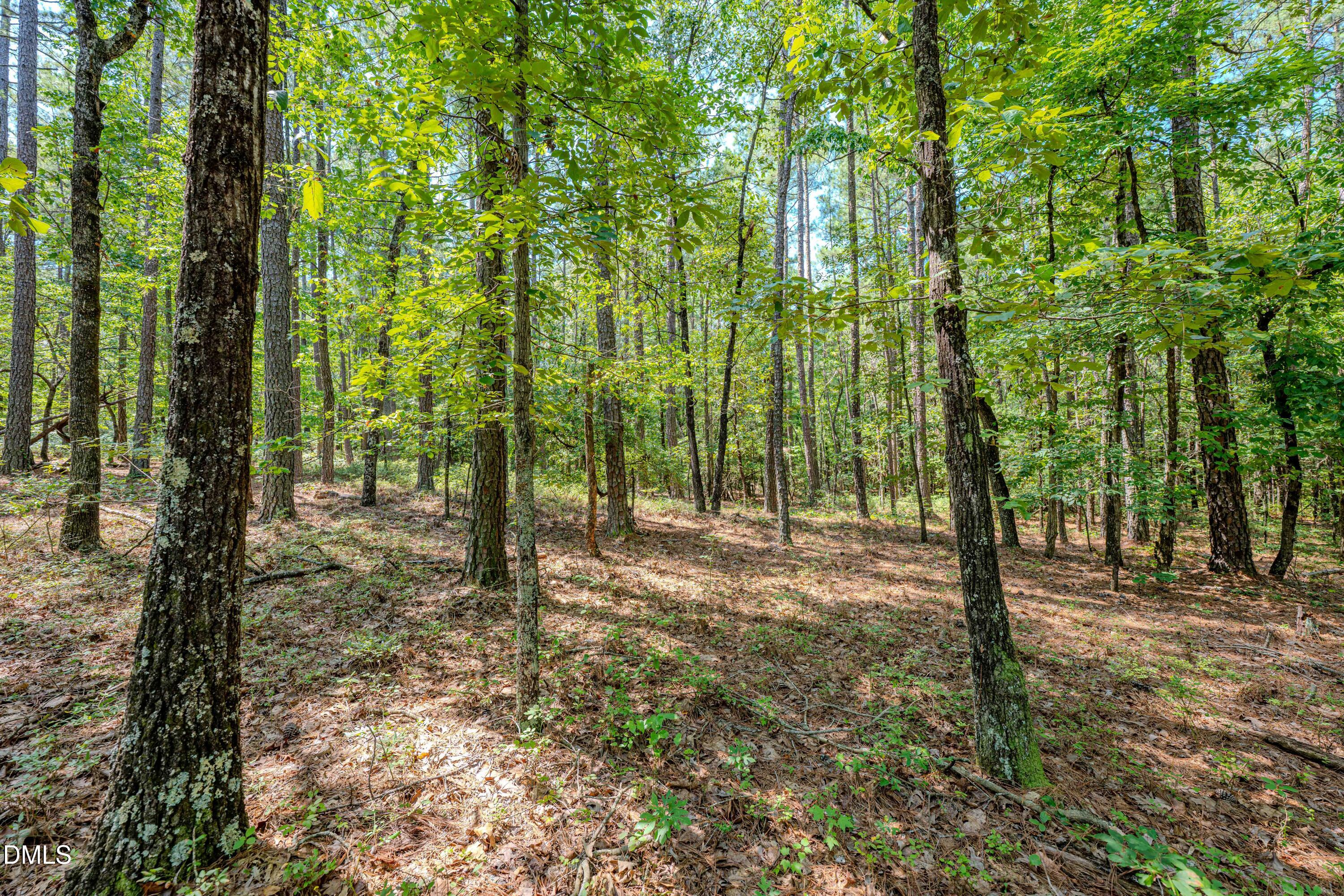 0 Us-421 Property Photo 18