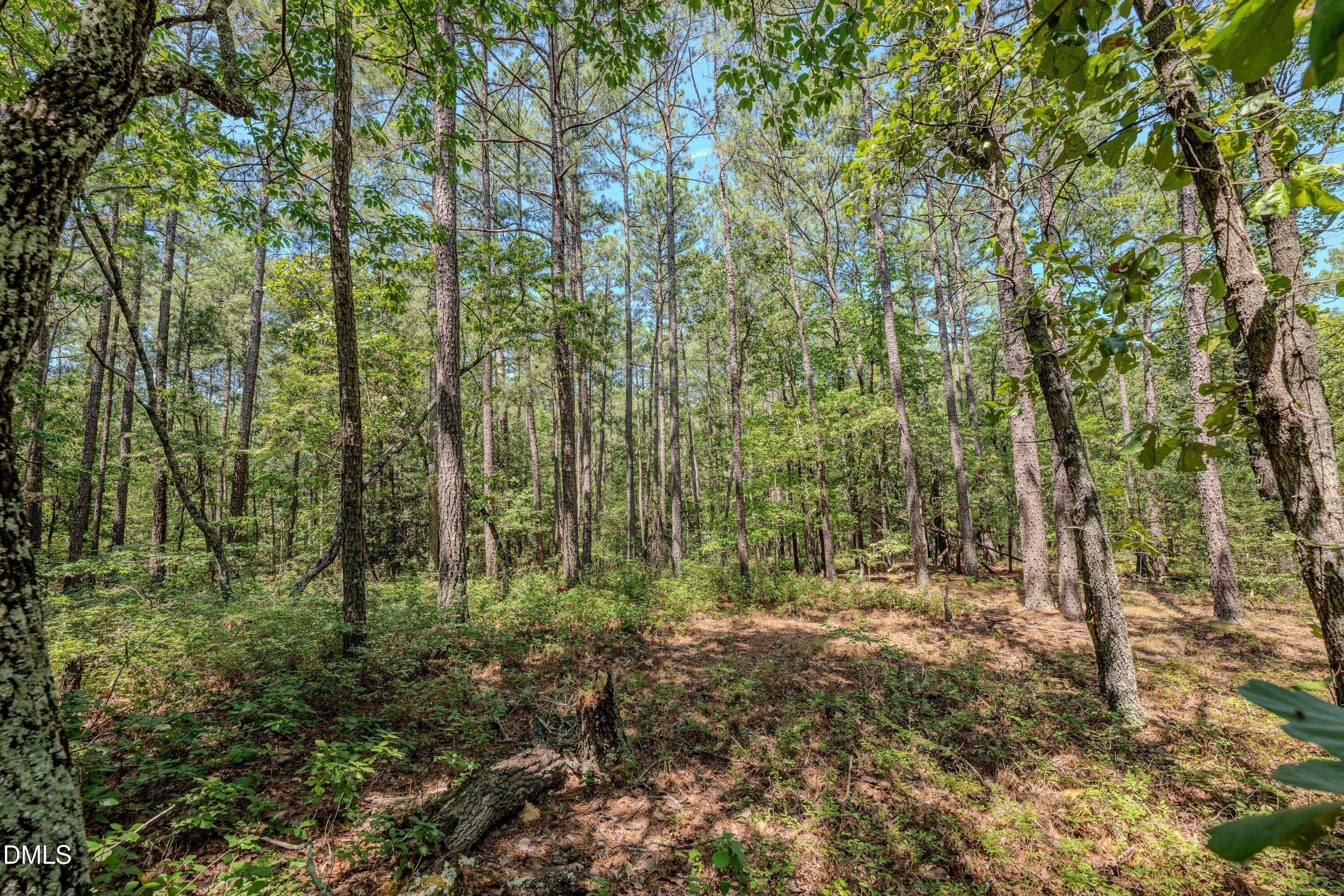 0 Us-421 Property Photo 20
