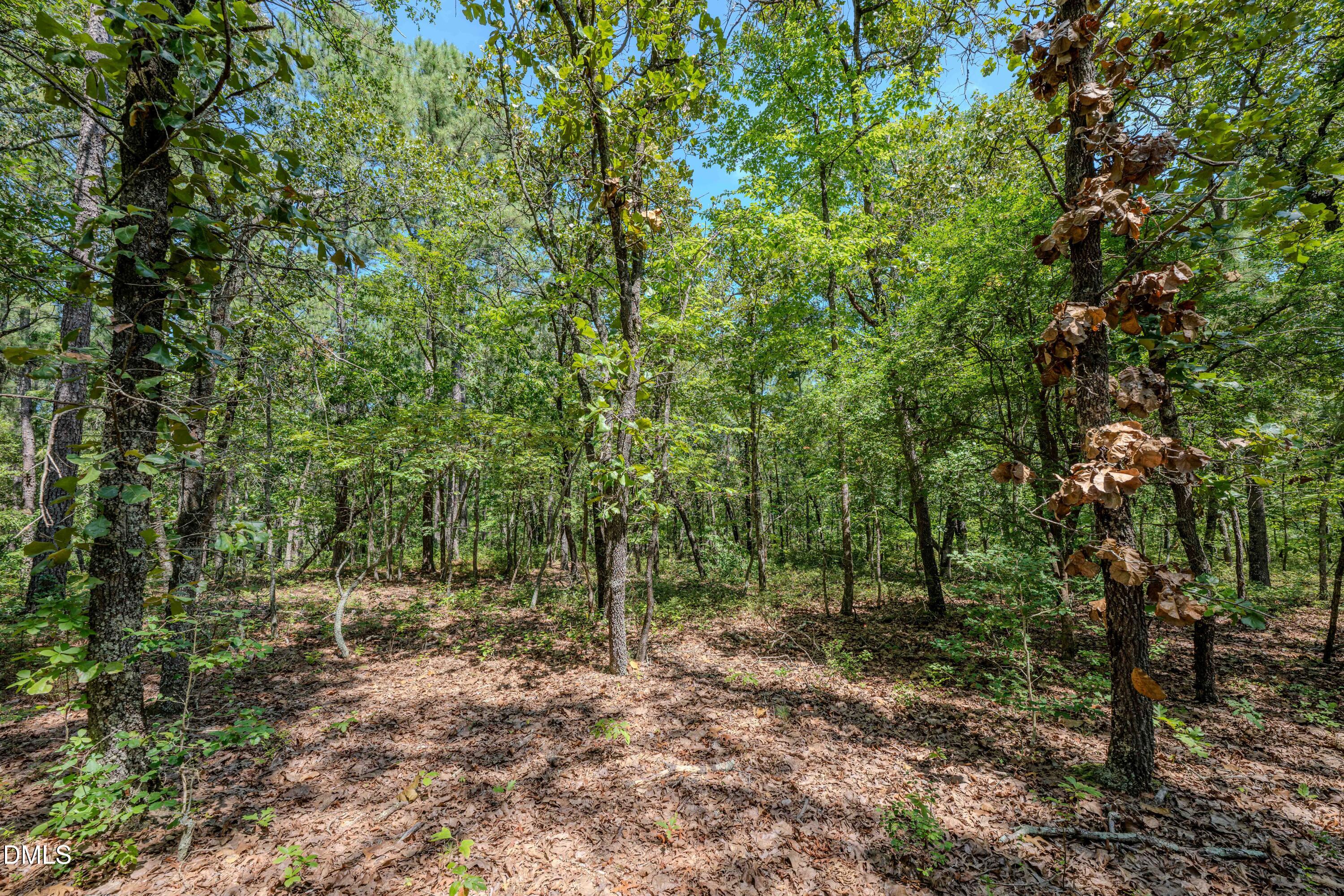 0 Us-421 Property Photo 21