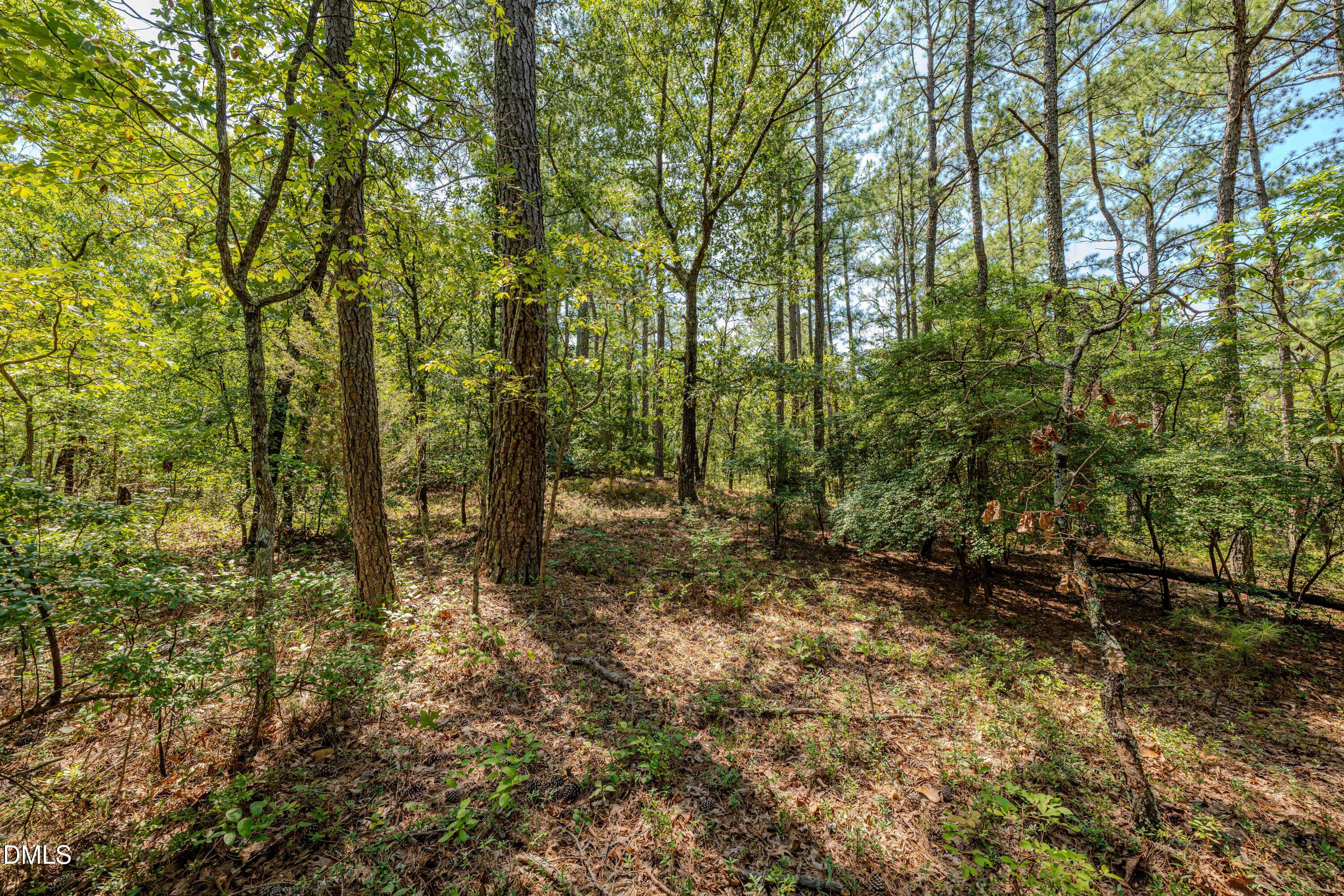 0 Us-421 Property Photo 22