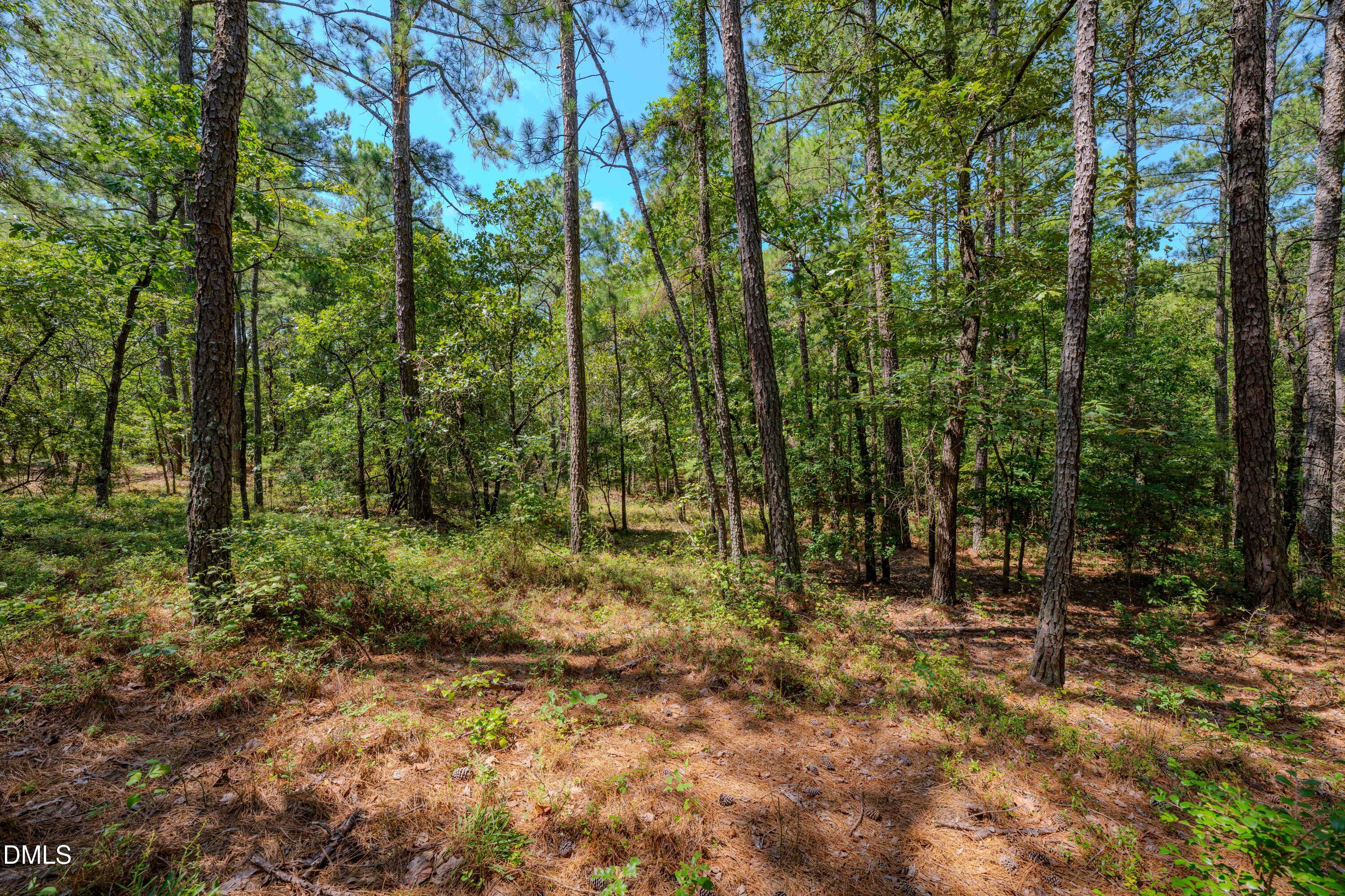 0 Us-421 Property Photo 23