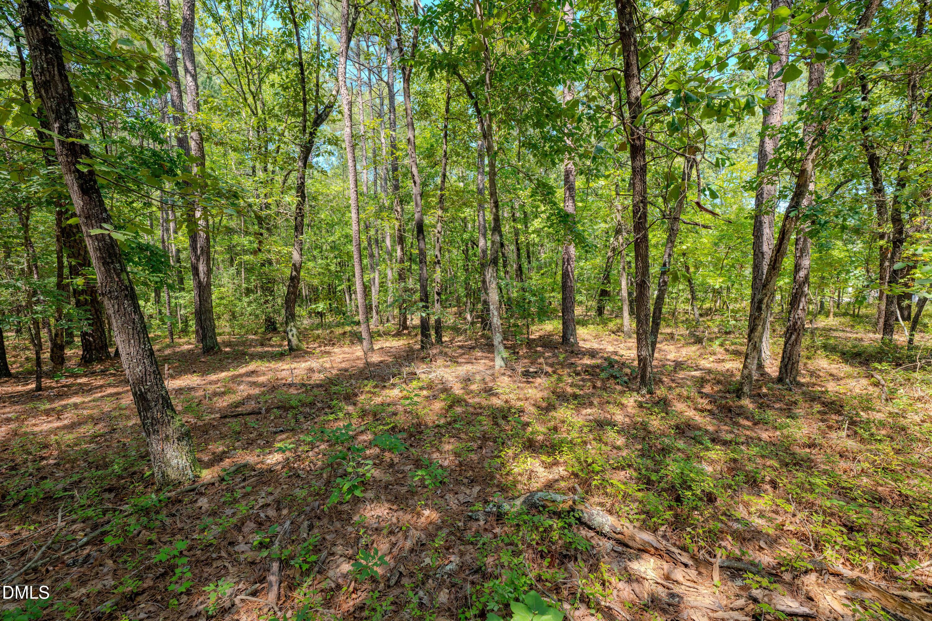 0 Us-421 Property Photo 24