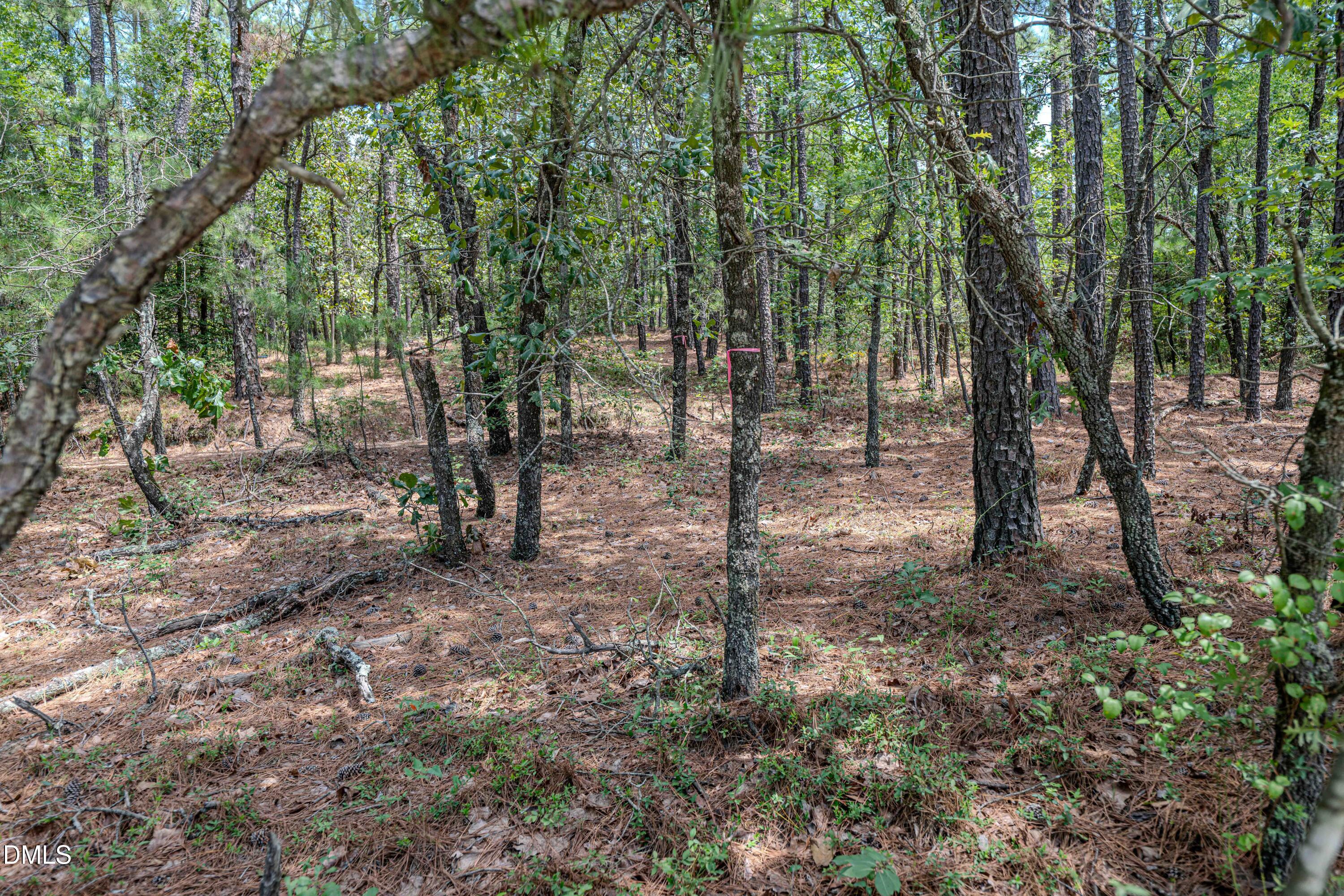 0 Us-421 Property Photo 26