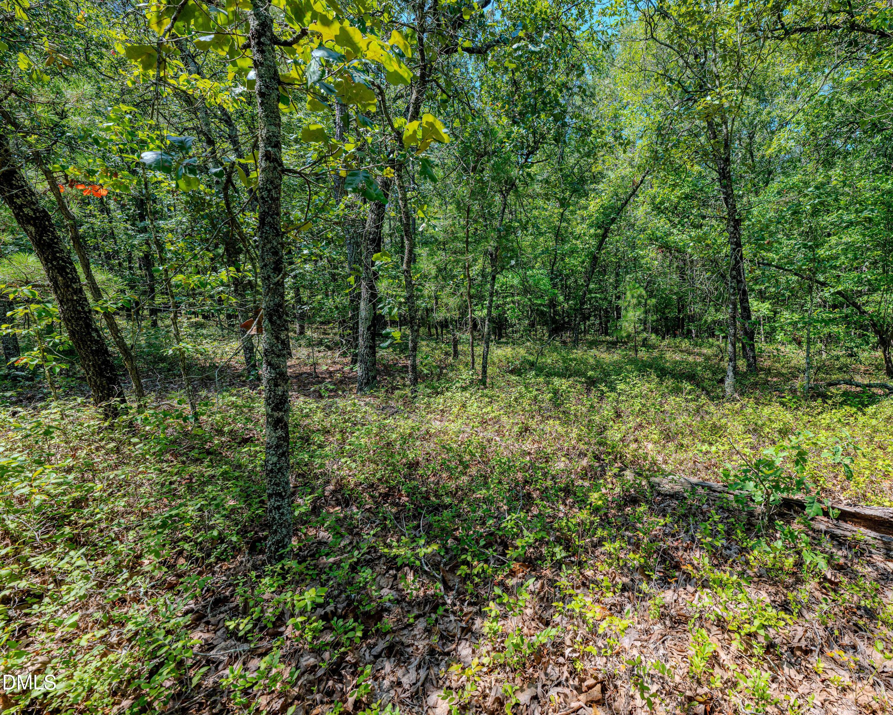 0 Us-421 Property Photo 27
