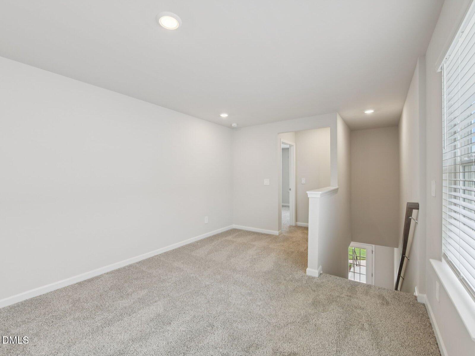 4117 Hazel Branch Way Property Photo 13