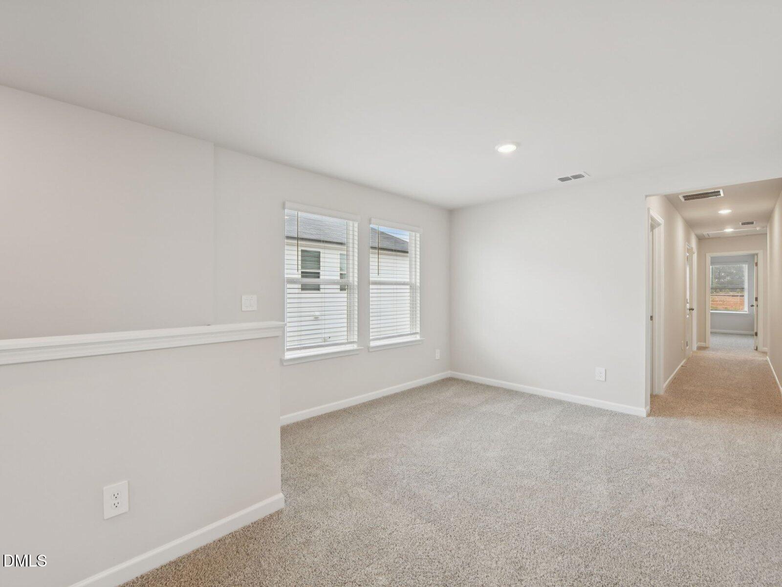 4117 Hazel Branch Way Property Photo 14