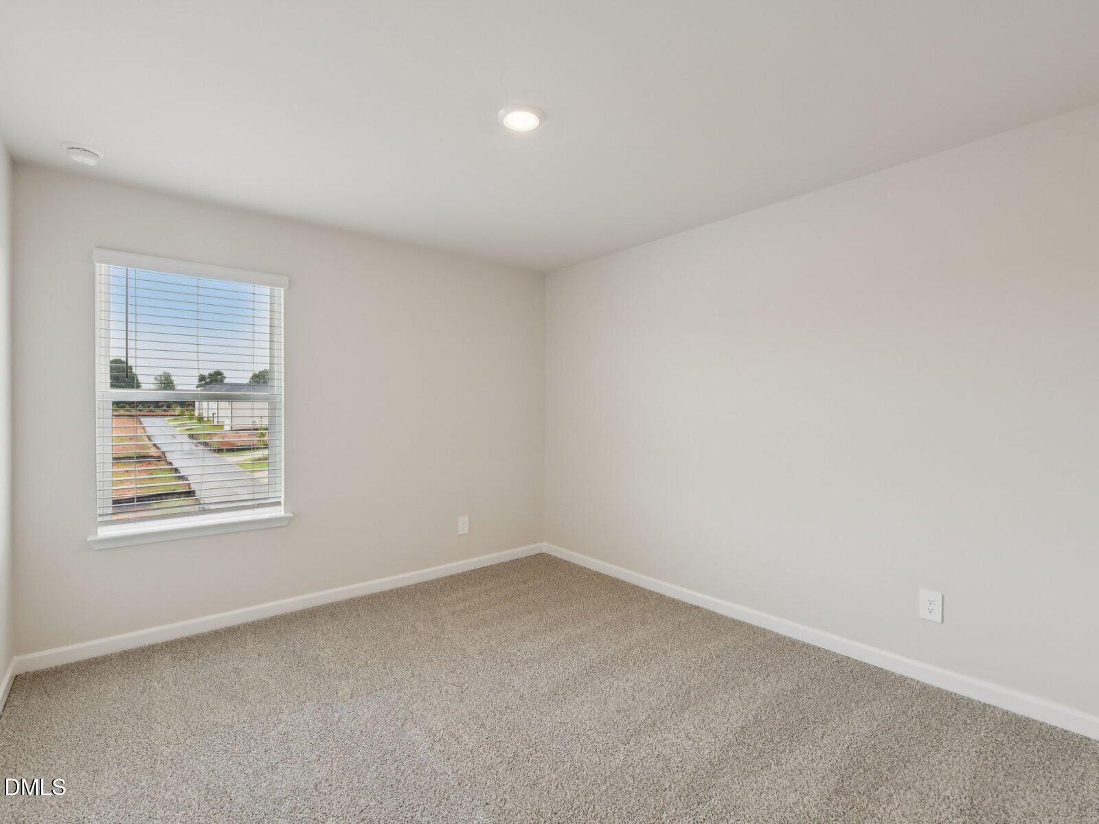 4117 Hazel Branch Way Property Photo 21