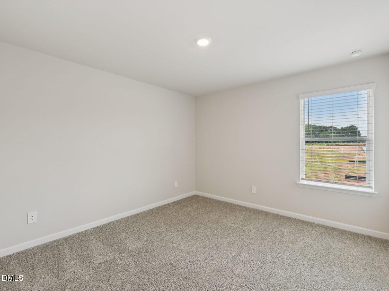 4117 Hazel Branch Way Property Photo 23