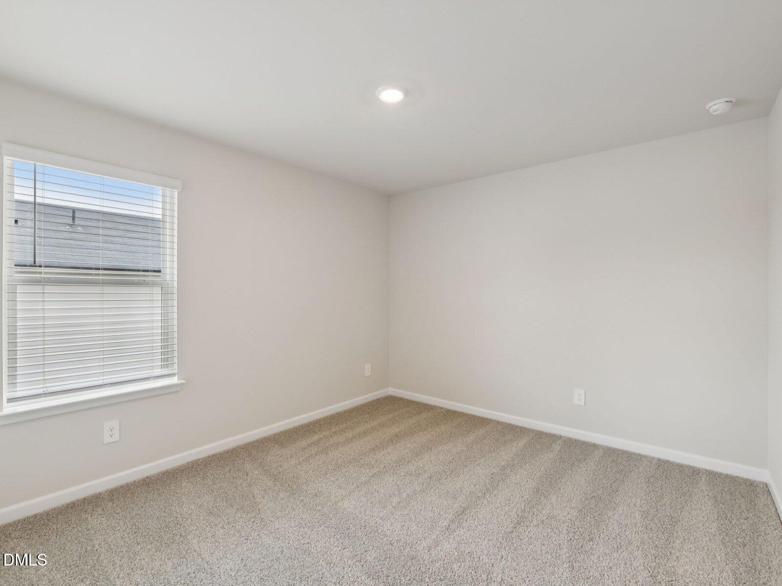 4117 Hazel Branch Way Property Photo 25