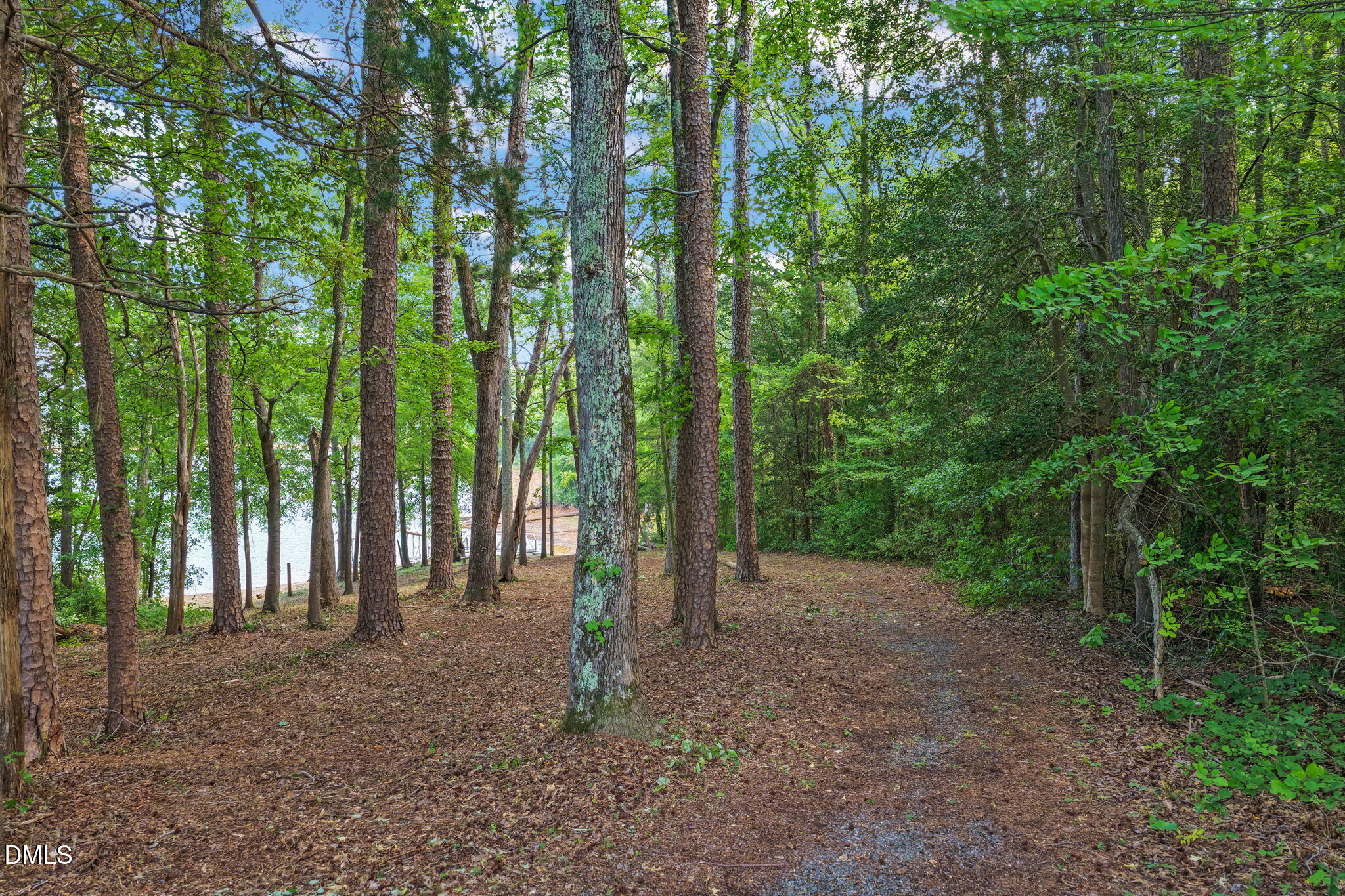 480 Fruit Hill Road Property Photo 16
