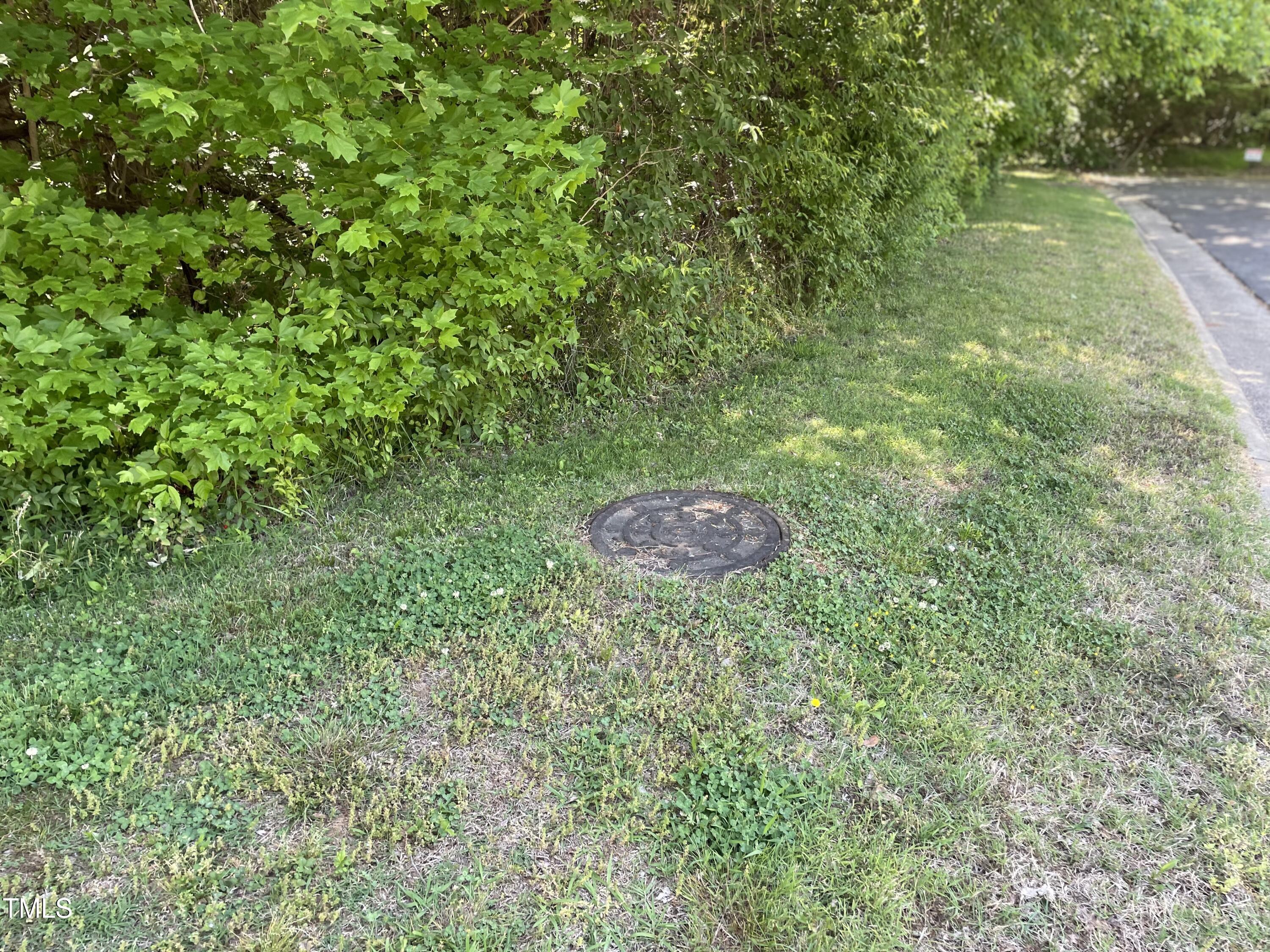 0 Thompson Mill Road Property Photo 5