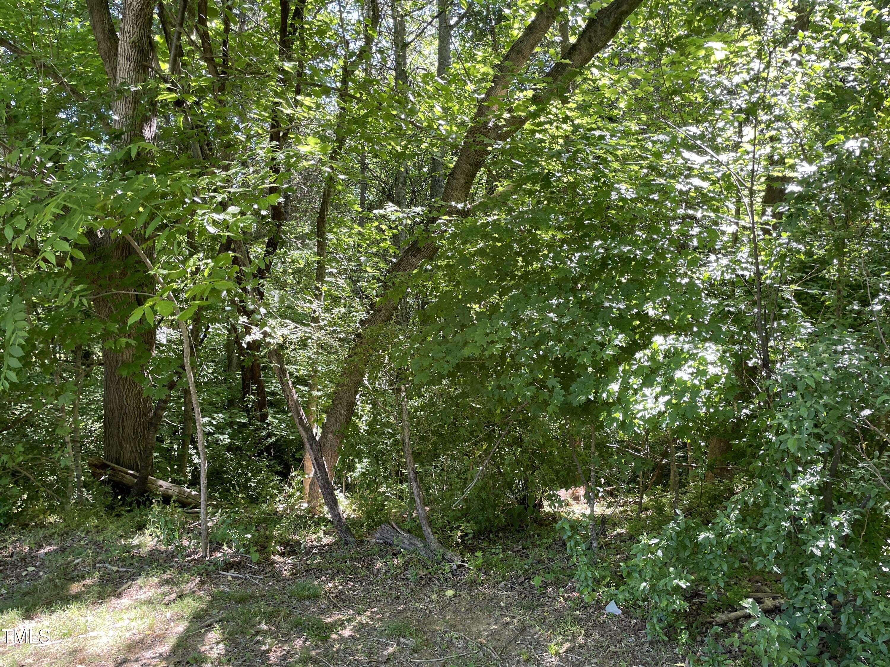 0 Thompson Mill Road Property Photo 7