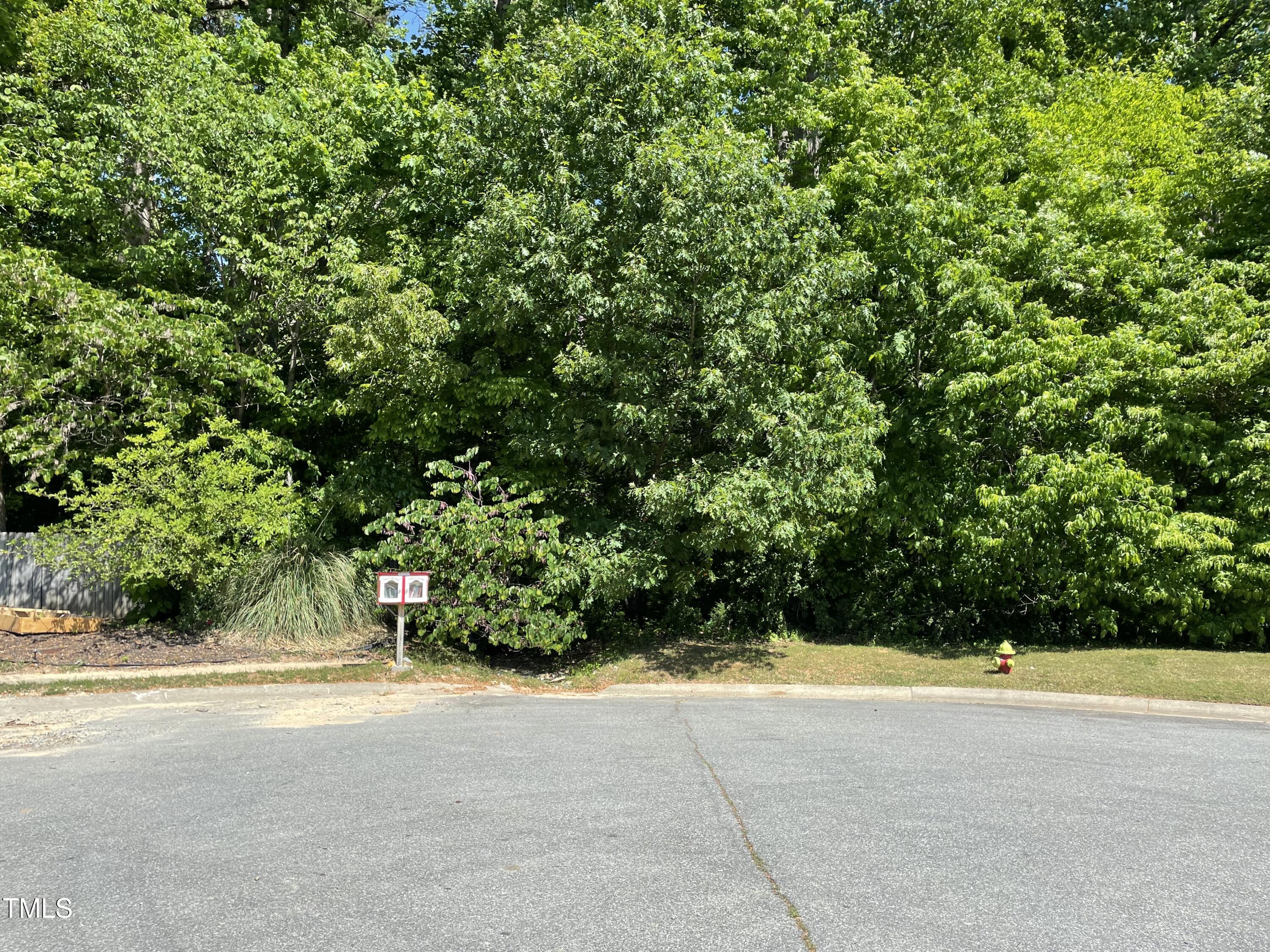 0 Thompson Mill Road Property Photo 13